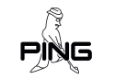 PING